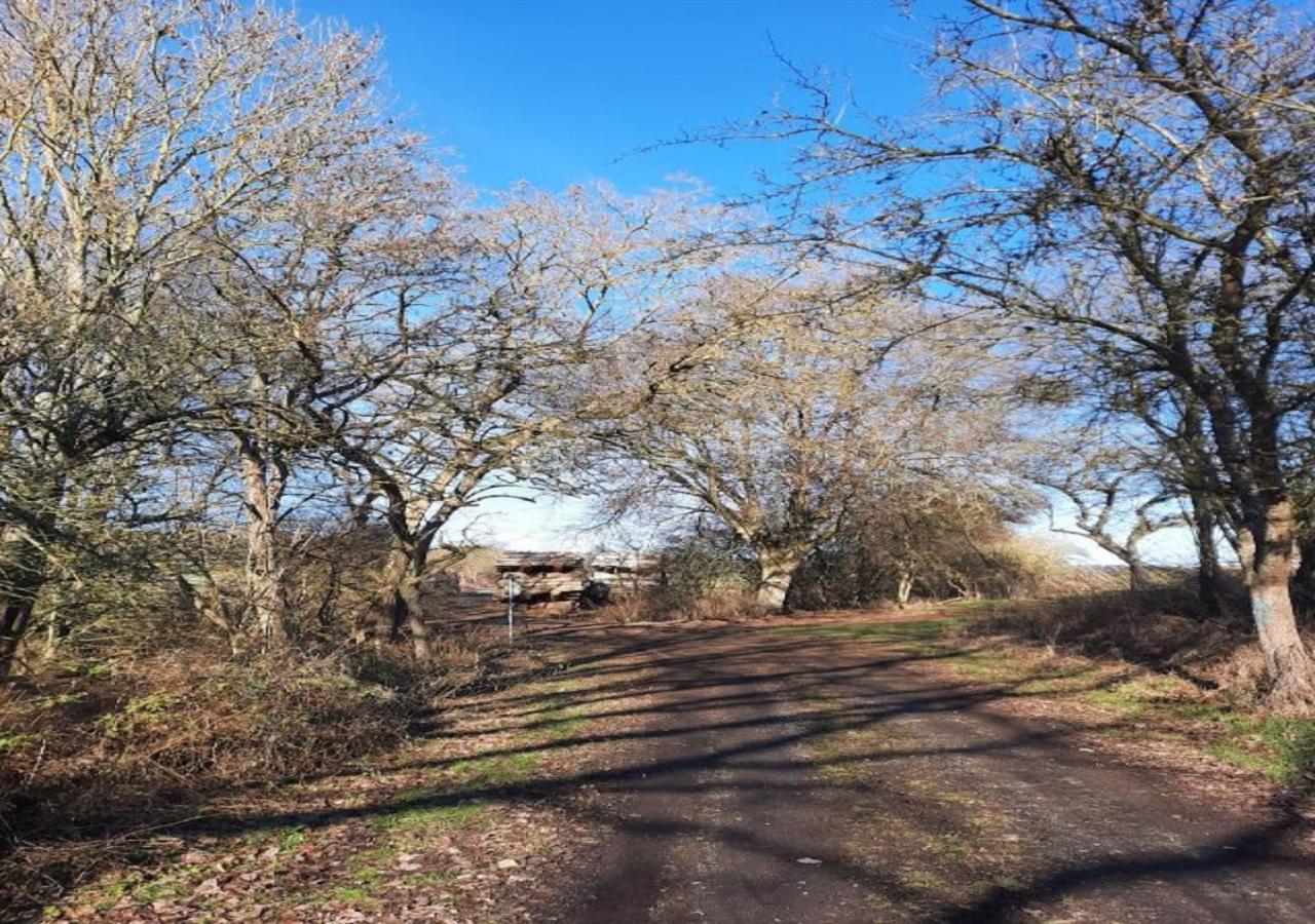 Exklusive Naturoase Direkt Am Ars Natura Wanderweg Mit Panoramablick Auf Melsungen Εξωτερικό φωτογραφία