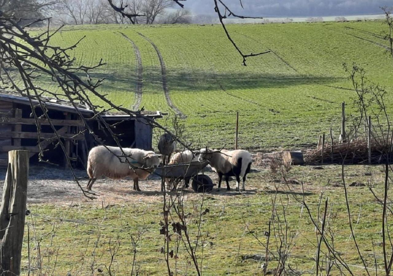 Exklusive Naturoase Direkt Am Ars Natura Wanderweg Mit Panoramablick Auf Melsungen Εξωτερικό φωτογραφία